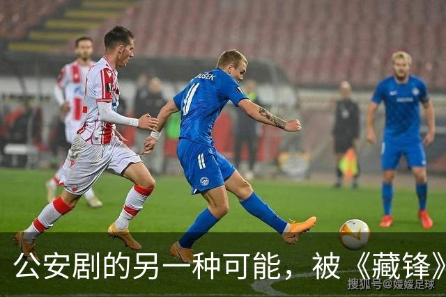 公安剧的另一种可能，被《藏锋》拍出来了
