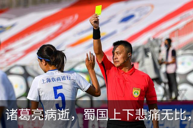 诸葛亮病逝，蜀国上下悲痛无比，唯有一人仰天大笑：苍天有眼！